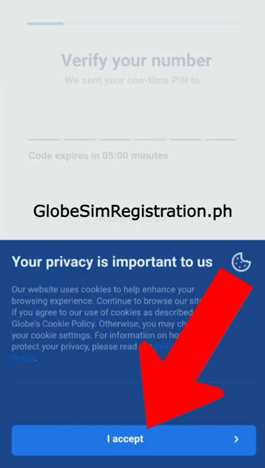 Glob Sim Registration, i accept